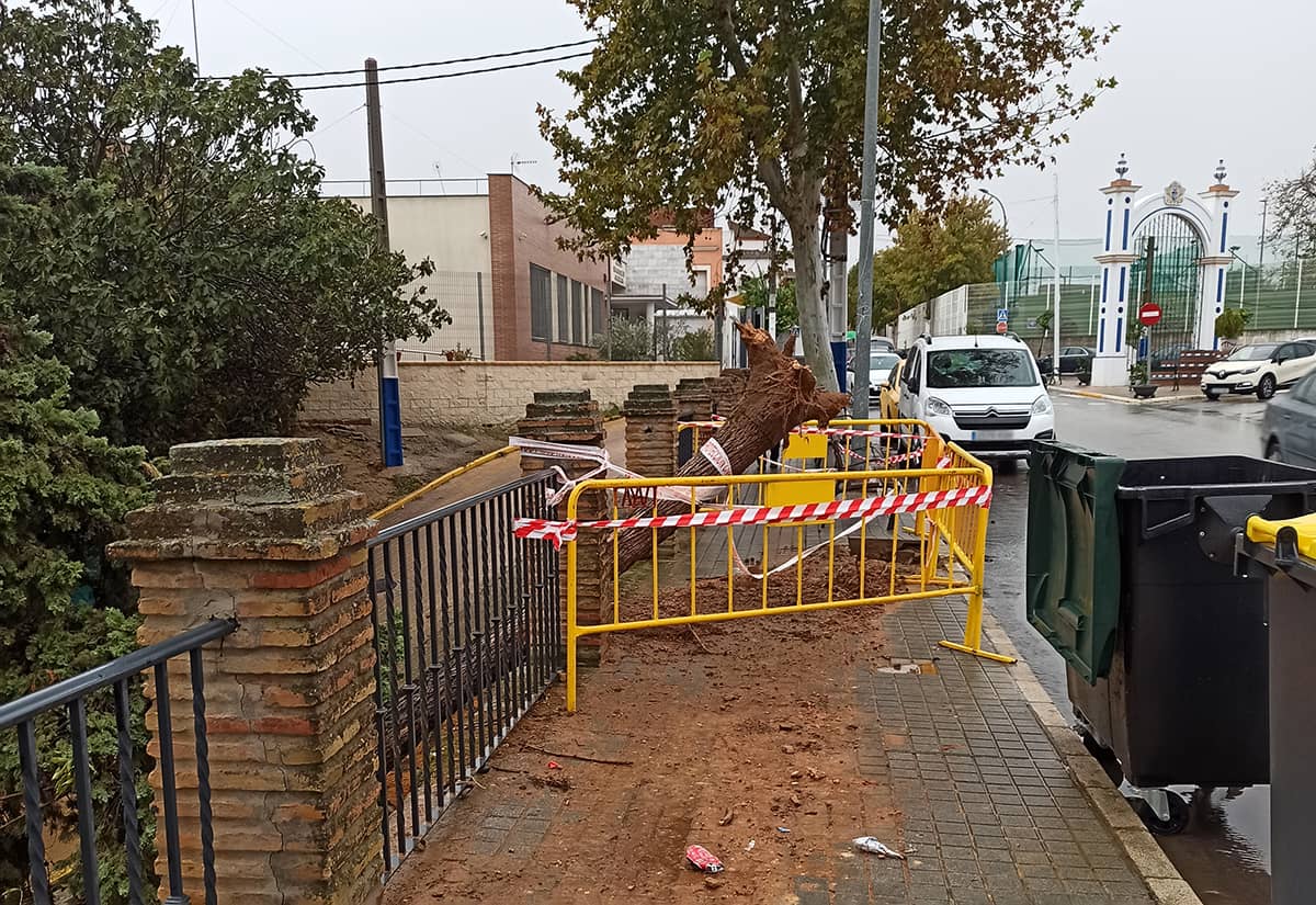 Foto de esta mañana, miércoles 25 de octubre, donde se ve restos de arboleda sobre una valla cortando una acera.